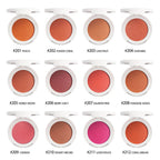 12-color Blush