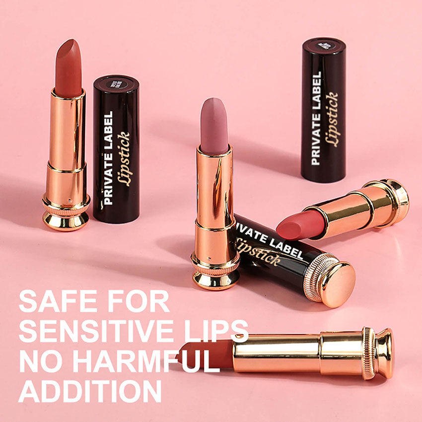 12-color Velvet Nonstick Black Gold Tube Matte Neutral Lipstick
