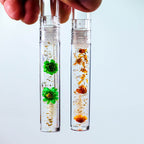 11-color Small Daisy Flower Lip Oil