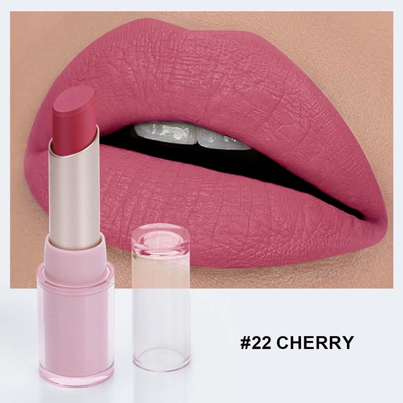 24-color Matte Lipstick